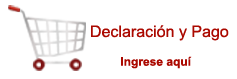 Declaración y Pago