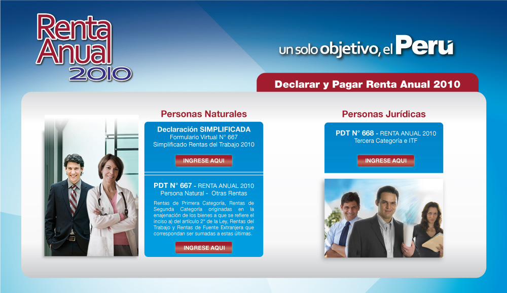 Renta Anual 2010