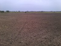 REMATE EN LAMBAYEQUE