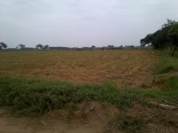 REMATE EN LAMBAYEQUE