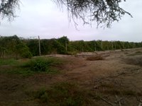REMATE EN LAMBAYEQUE