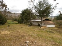 REMATE EN LAMBAYEQUE