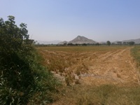 REMATE EN LAMBAYEQUE
