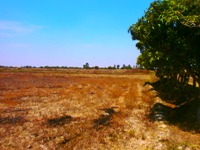 REMATE EN LAMBAYEQUE
