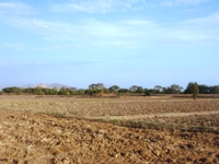 REMATE EN LAMBAYEQUE