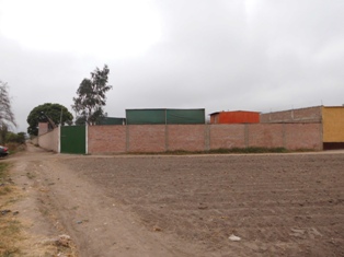 REMATE DE LIMA