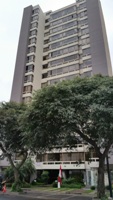 REMATE DE LIMA