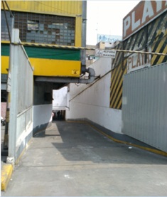 REMATE DE LIMA