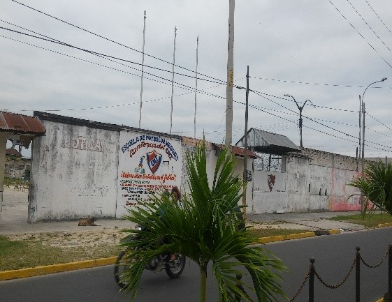 REMATE DE LIMA